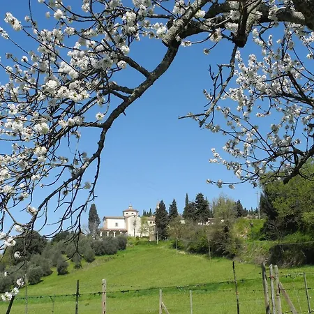 Le Renaie San Gimignano