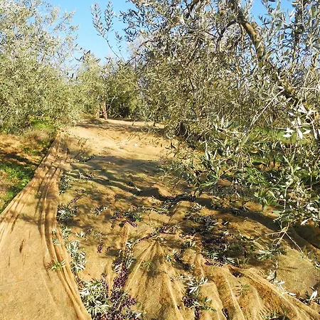 Le Renaie מלון 3*