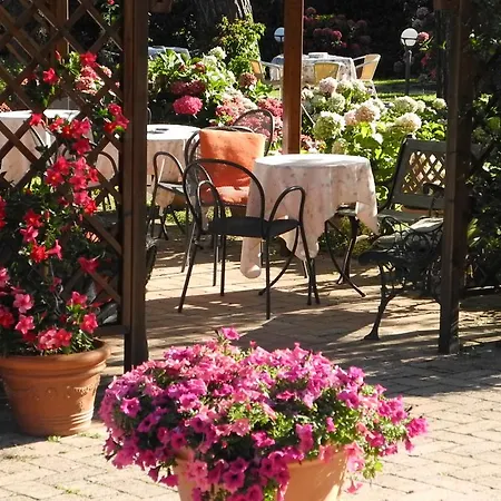 Hotel Le Renaie 3*